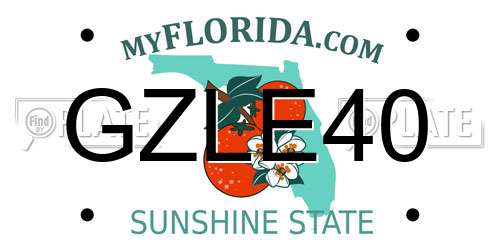 GZLE40 Florida License Plate