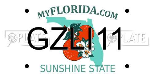 GZLI11 Florida License Plate