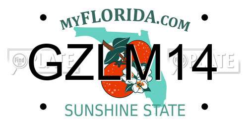 GZLM14 Florida License Plate