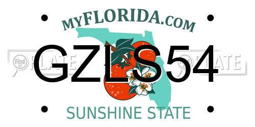 GZLS54 Florida License Plate