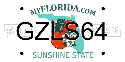 GZLS64 Florida License Plate