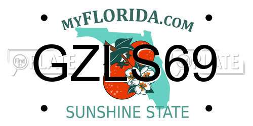 GZLS69 Florida License Plate
