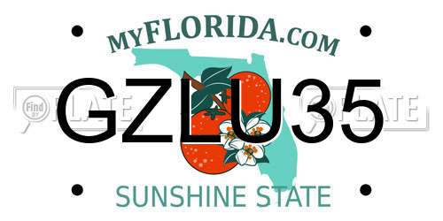 GZLU35 Florida License Plate