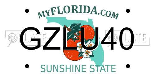 GZLU40 Florida License Plate