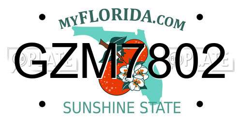 GZM7802 Florida License Plate