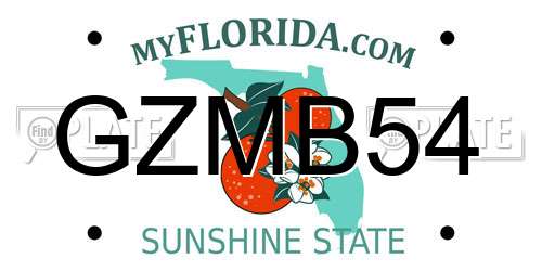 GZMB54 Florida License Plate