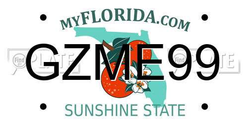 GZME99 Florida License Plate