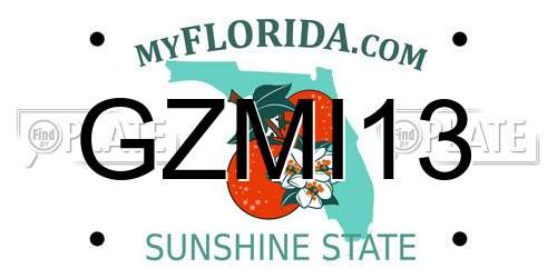 GZMI13 Florida License Plate