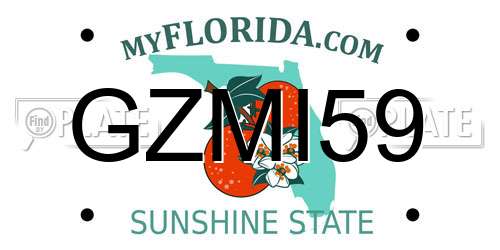 GZMI59 Florida License Plate