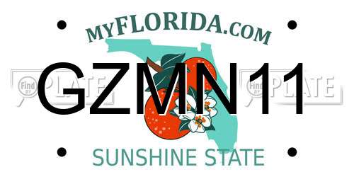 GZMN11 Florida License Plate