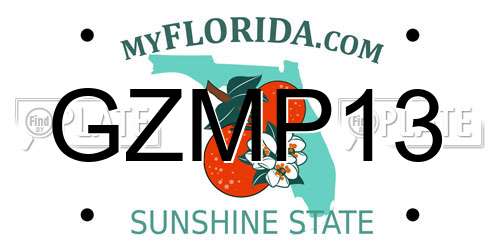 GZMP13 Florida License Plate