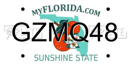 GZMQ48 Florida License Plate