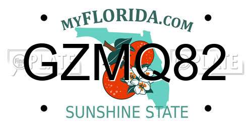 GZMQ82 Florida License Plate