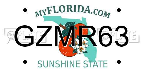 GZMR63 Florida License Plate