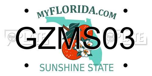 GZMS03 Florida License Plate