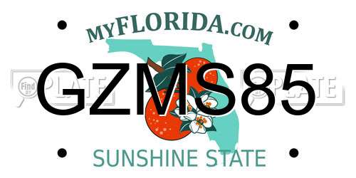 GZMS85 Florida License Plate