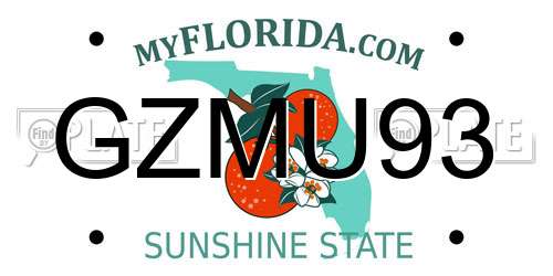 GZMU93 Florida License Plate