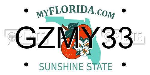 GZMY33 Florida License Plate
