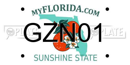 GZN01 Florida License Plate