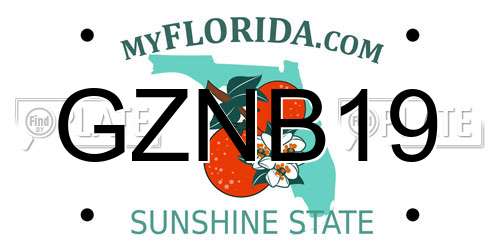 GZNB19 Florida License Plate