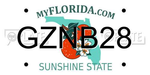 GZNB28 Florida License Plate