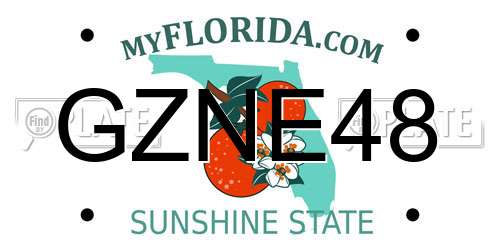 GZNE48 Florida License Plate