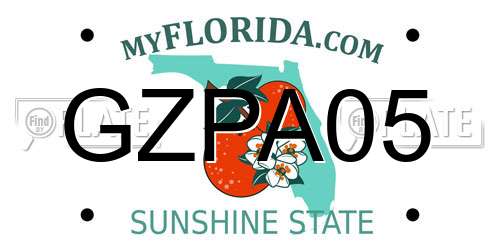 GZPA05 Florida License Plate