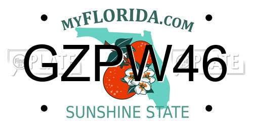 GZPW46 Florida License Plate