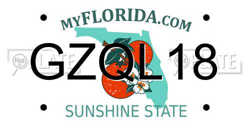 GZQL18 Florida License Plate