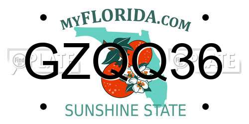 GZQQ36 Florida License Plate