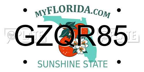 GZQR85 Florida License Plate