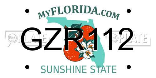 GZR112 Florida License Plate