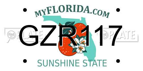 GZR117 Florida License Plate
