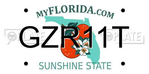 GZR11T Florida License Plate