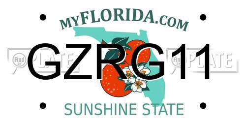 GZRG11 Florida License Plate