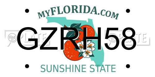 GZRH58 Florida License Plate