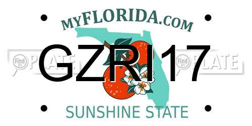 GZRI17 Florida License Plate