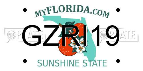 GZRI19 Florida License Plate