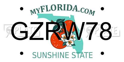 GZRW78 Florida License Plate