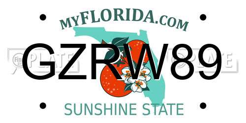 GZRW89 Florida License Plate