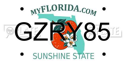 GZRY85 Florida License Plate