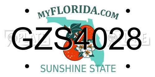 GZS4028 Florida License Plate