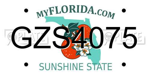 GZS4075 Florida License Plate