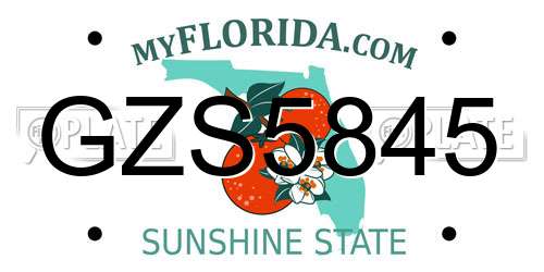 GZS5845 Florida License Plate