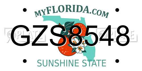 GZS8548 Florida License Plate