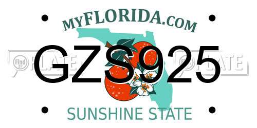 GZS925 Florida License Plate