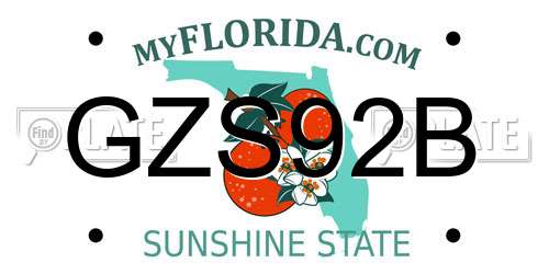 GZS92B Florida License Plate