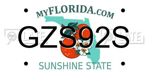 GZS92S Florida License Plate