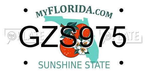 GZS975 Florida License Plate