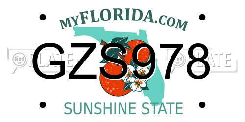 GZS978 Florida License Plate